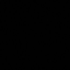 Meet your Posher, Sophia